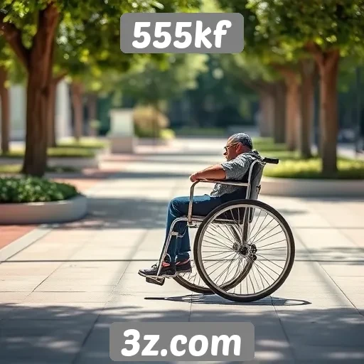 Acessibilidade e usabilidade do 555kf